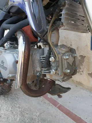 Pit Bike Malcor XM 140cc