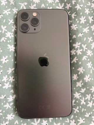 iPhone 11 Pro 256GB Gris Espacial