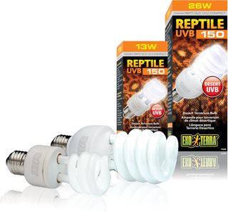Exoterra Bombilla Bajo Consumo UVB 150 Compacto Re