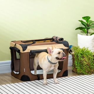 Transportín para Perros y Gatos Bolsa para mascota