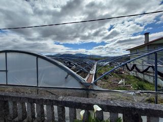 Estructuras Invernaderos Metálicos