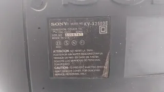 Lote televisores de tubo