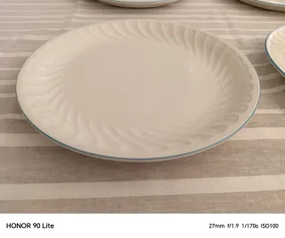 Lote 6 Platos llanos, grandes. Porcelana. Pontesa.