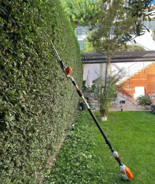 JARDINERO ECONÓMICO