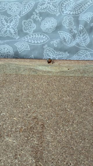 Cuadro Artesanía Marinera Nudos Marinos