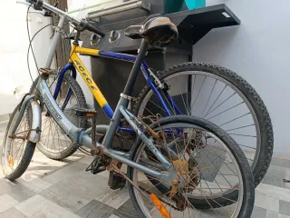 Bicicleta ACECE STREET