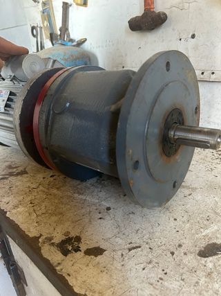 Motor reductor BONANI + Cidepa