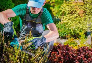 Jardinero por Girona