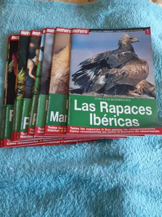 Guias  Natura do 1 ao 10