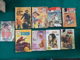 Lote de 15 Antiguas novelas variadas Oeste, terror