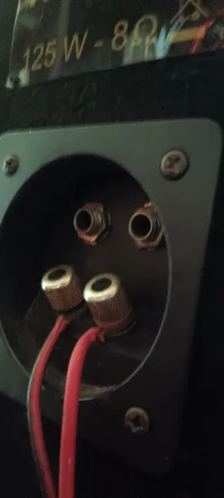 4 Altavoces y  amplificador