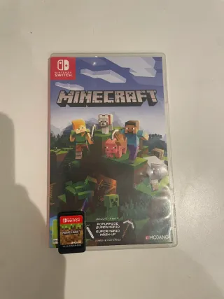 Minecraft Nintendo Switch