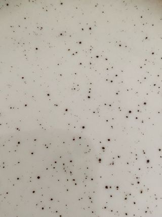 Set 6 piatti dessert Bavaria cm 20