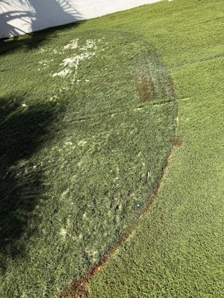 Césped artificial 40 metros cuadrados