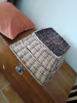 Cesto de mimbre con cojín naranja