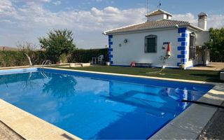 Casa con piscina y olivos superintensivos