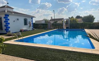 Casa con piscina y olivos superintensivos