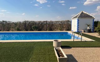Casa con piscina y olivos superintensivos