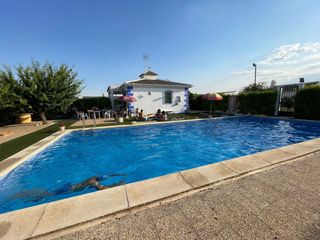 Casa con piscina y olivos superintensivos