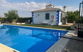 Casa con piscina y olivos superintensivos