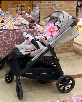 Inglesina Aptica Carrito Bebé