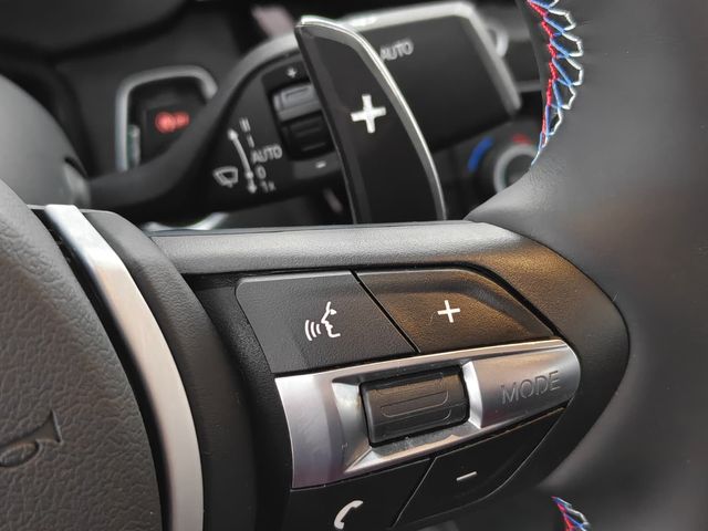 BMW Serie 3 318d Pack ///M  Rojo!