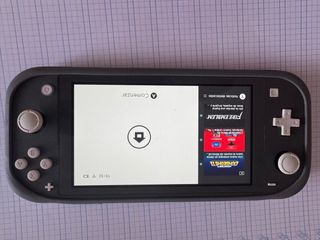 Nintendo switch lite