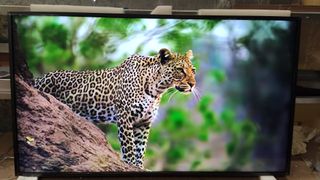 Samsung The Frame TV 43 QLED 2020