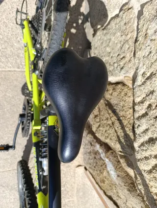 Bicicleta Montaña Infantil Negra y Verde