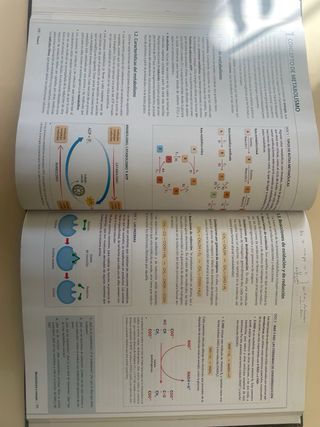 ANATOMIA APLICADA Vicens Vives