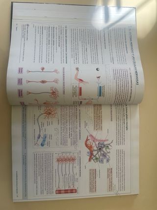 ANATOMIA APLICADA Vicens Vives