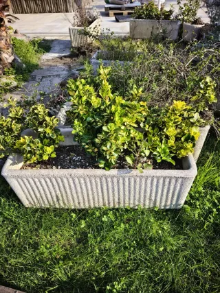 6 Macetas de Piedra Urge Regalar