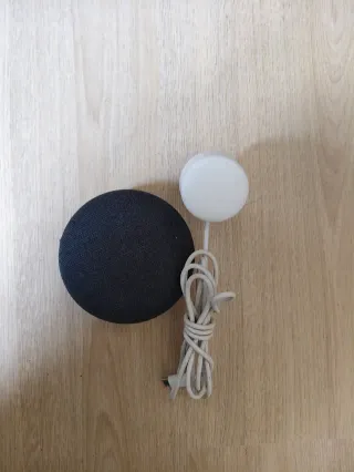 Google Home Mini Negro con Cargador