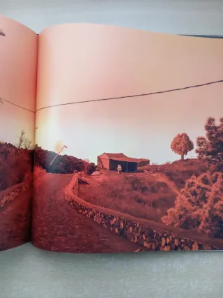 Más fuertes que el volcán. La Palma.