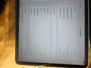 iPad Pro 11 1ª Gen Plata ¡CON TROLLSTORE!