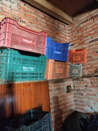 Jaulas Plástico Grandes