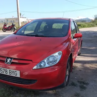 Peugeot 307 2002