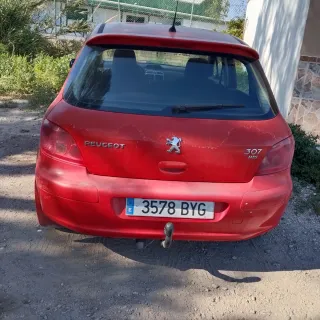 Peugeot 307 2002