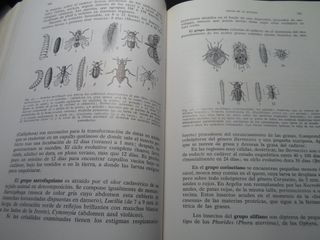 Medicina Legal Judicial - 1ª Edición 1962