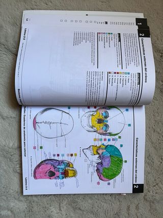 Netter Cuaderno de anatomía para colorear (2ª ed.)
