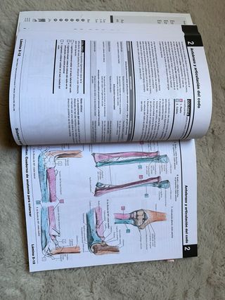Netter Cuaderno de anatomía para colorear (2ª ed.)