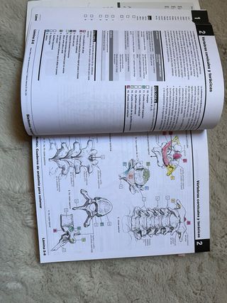 Netter Cuaderno de anatomía para colorear (2ª ed.)