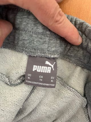 Chándal Puma Gris Nuevo