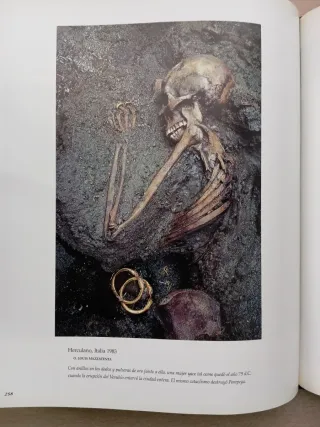 N. Geograhic, Serie Oro. Las mejores fotografías.