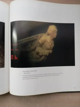 N. Geograhic, Serie Oro. Las mejores fotografías.