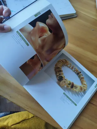 Libro de joyería 500 Necklaces