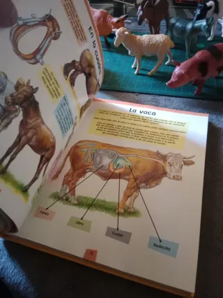 Libro Enciclopedia Animales Granja + 9 Figuras