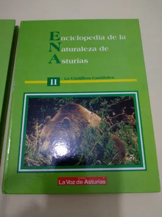 Enciclopedia de la naturaleza de Asturias