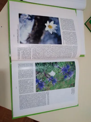 Enciclopedia de la naturaleza de Asturias
