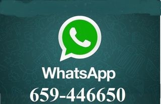 Capot Mercedes 190 W201 delantero y trasero